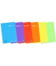 Enri Plus Pack de 5 Cuadernos Espiral Formato Folio 1 Linea - 80 Hojas 90gr con Margen - Cubierta de Plastico - Colores