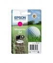 Epson T3463 (34) Magenta Cartucho de Tinta Original - C13T34634010