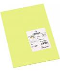 Canson Guarro Pack de 50 Cartulinas Iris A4 de 185g - 21x29.7cm - Color Verde Manzana