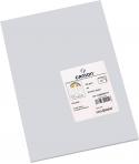 Canson Guarro Pack de 50 Cartulinas Iris A4 de 185g - 21x29.7cm - Color Gris Perla