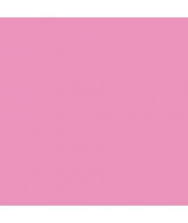 Canson Guarro Pack de 25 Cartulinas Iris A4 de 185g - 50x65cm - Color Rosa Chicle