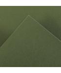 Canson Guarro Pack de 25 Cartulinas Iris A4 de 185g - 50x65cm - Color Verde Safari