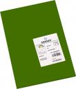 Canson Guarro Pack de 50 Cartulinas Iris A4 de 185g - 21x29.7cm - Color Verde Safari