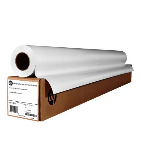 HP Everyday Pack de 2 Bobinas de Papel para Plotter 1067mm x 30,5m 120gr