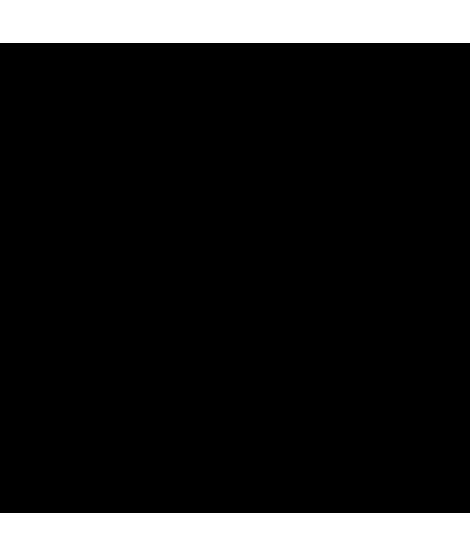 Talius Silla Gaming Gecko - Reposabrazos Fijos - Inclinacion Ajustable  hasta 150º - Cojin Lumbar Ajustable - Almohada Sillas Gaming Gaming /  Consolas Informática 