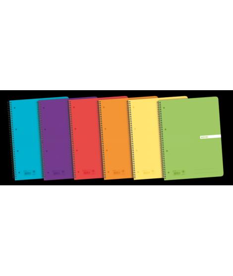 Enri Status Europeanbook A4+ Tapa de Plastico Translucido - Cuaderno con 120 Hojas - Formato 5x5 - Surtido de Colores - Ideal pa