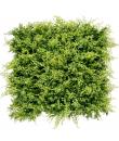 Sungarden Jardin Vertical Serie Jardino 50x50cm - Color Verde