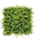 Sungarden Jardin Vertical Serie Jardino 50x50cm - Color Verde