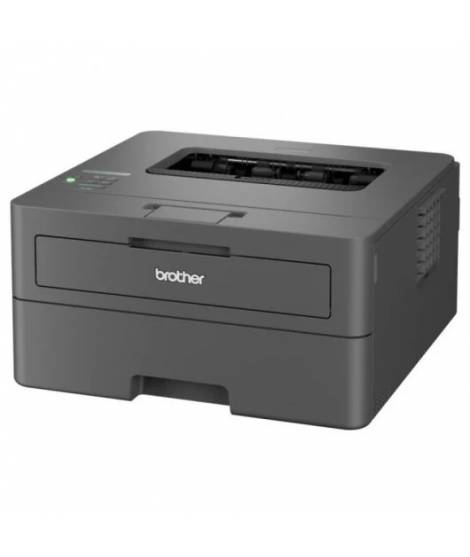 Brother HL-L2400DWE EcoPro Impresora Laser Monocromo Duplex WiFi 30ppm